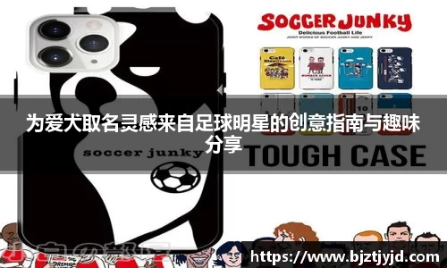 必一运动b-sports